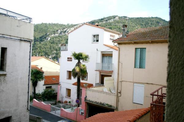 Studio N°1 Agreable Et Bien Situe Amélie-les-Bains-Palalda Exterior photo